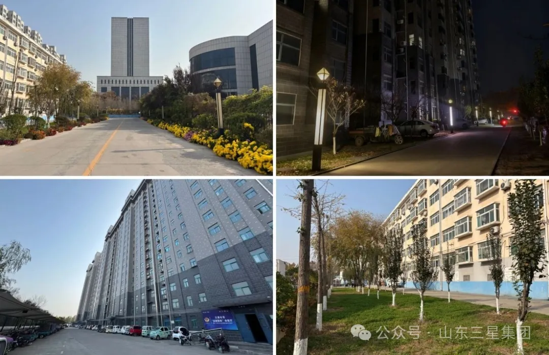 山東三星集團：“暖心+用心”筑家 增色幸福生活